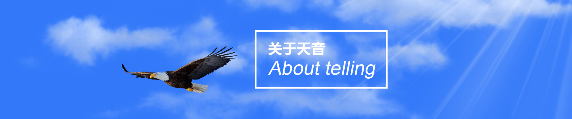 企業(yè)榮譽